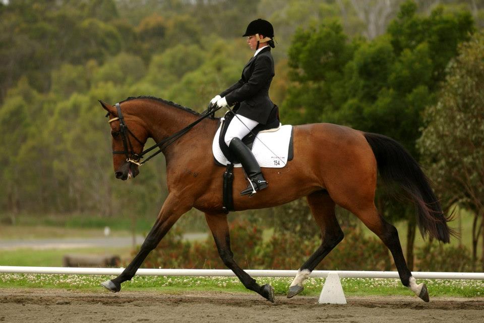 liz tollarzo Thompson and Redwood