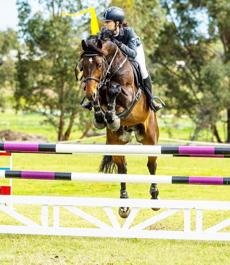 Kentaur Australia Performance Horses Thompson and Redwood