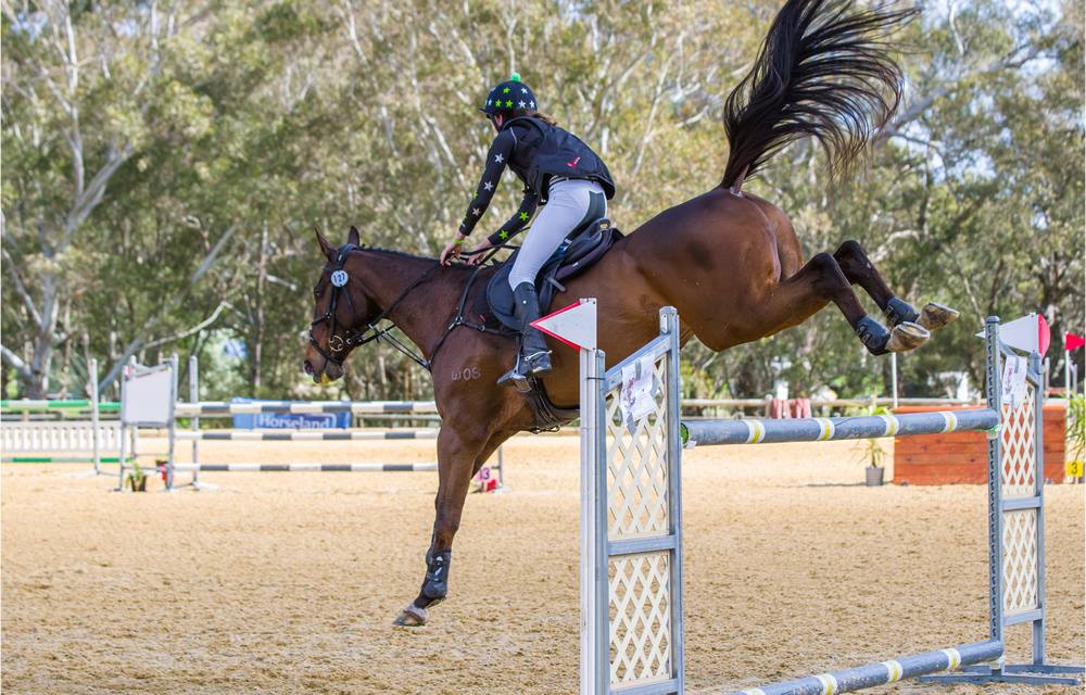 jess-kj Thompson and Redwood