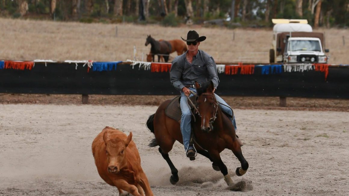 Scott Rogers: Campdrafting