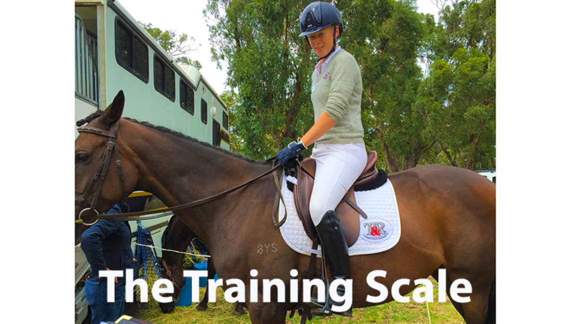 The Training Scale – Sustainable Equitation