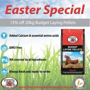 Easter special Budget Laying Pellets