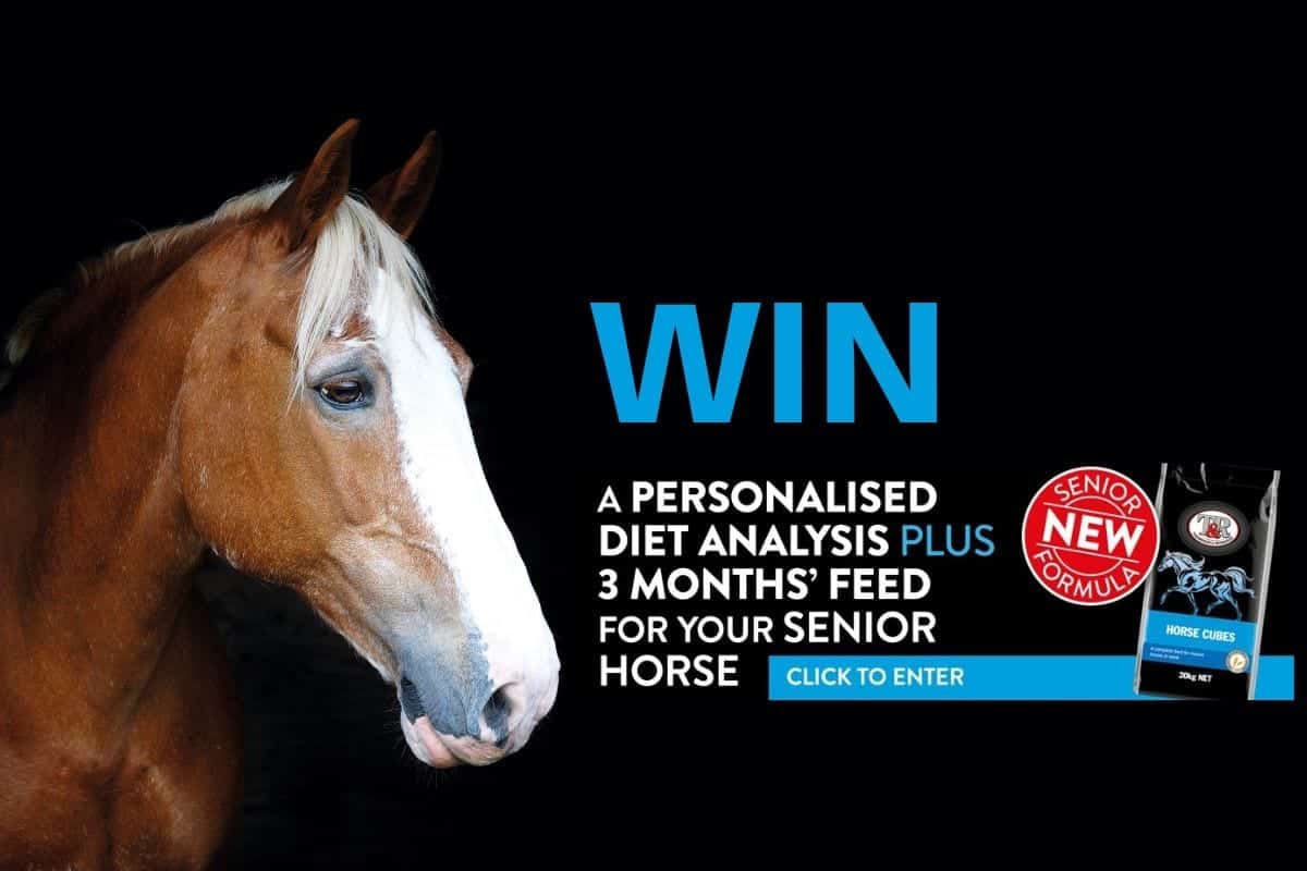 Win T&R Horse Cubes for your senior horse