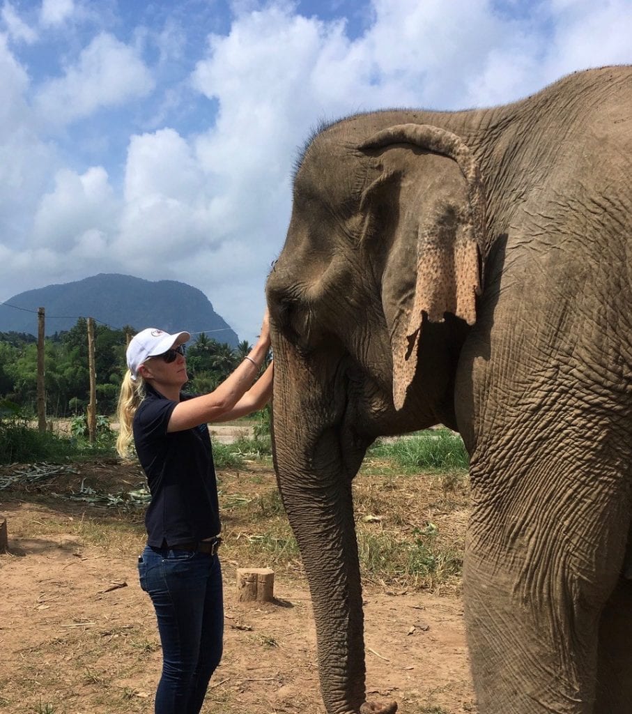 Training elephants