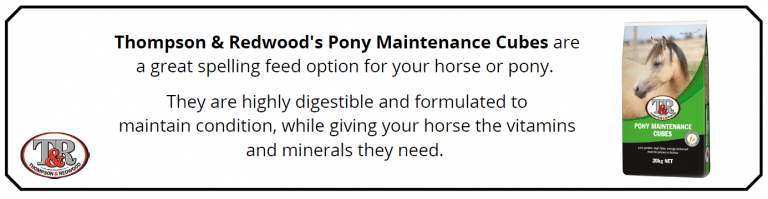 Pony Maintenance Cubes Information Insert
