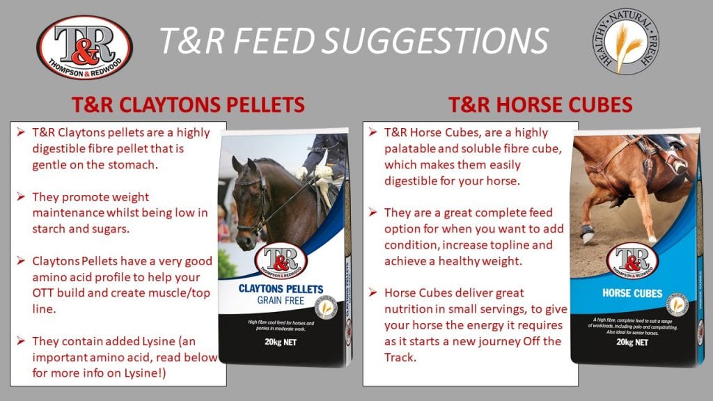 T&R Recommended Feeds