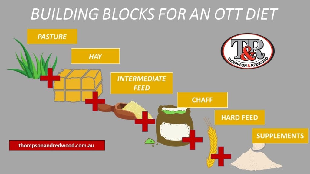 Building Blocks for OTT Diet