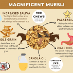 Infographic on advantages of muesli for horses