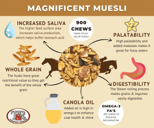 Infographic on advantages of muesli for horses