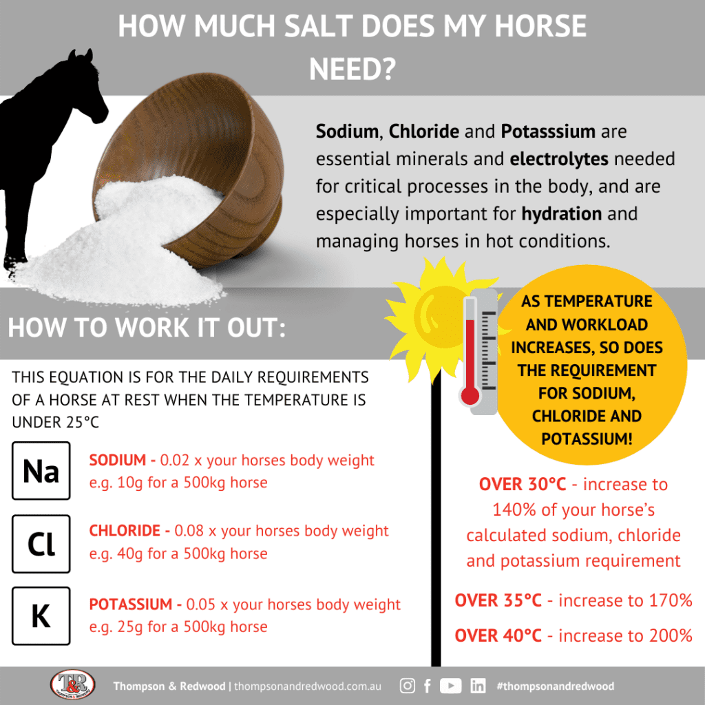 Infographic on salt requirements for horses