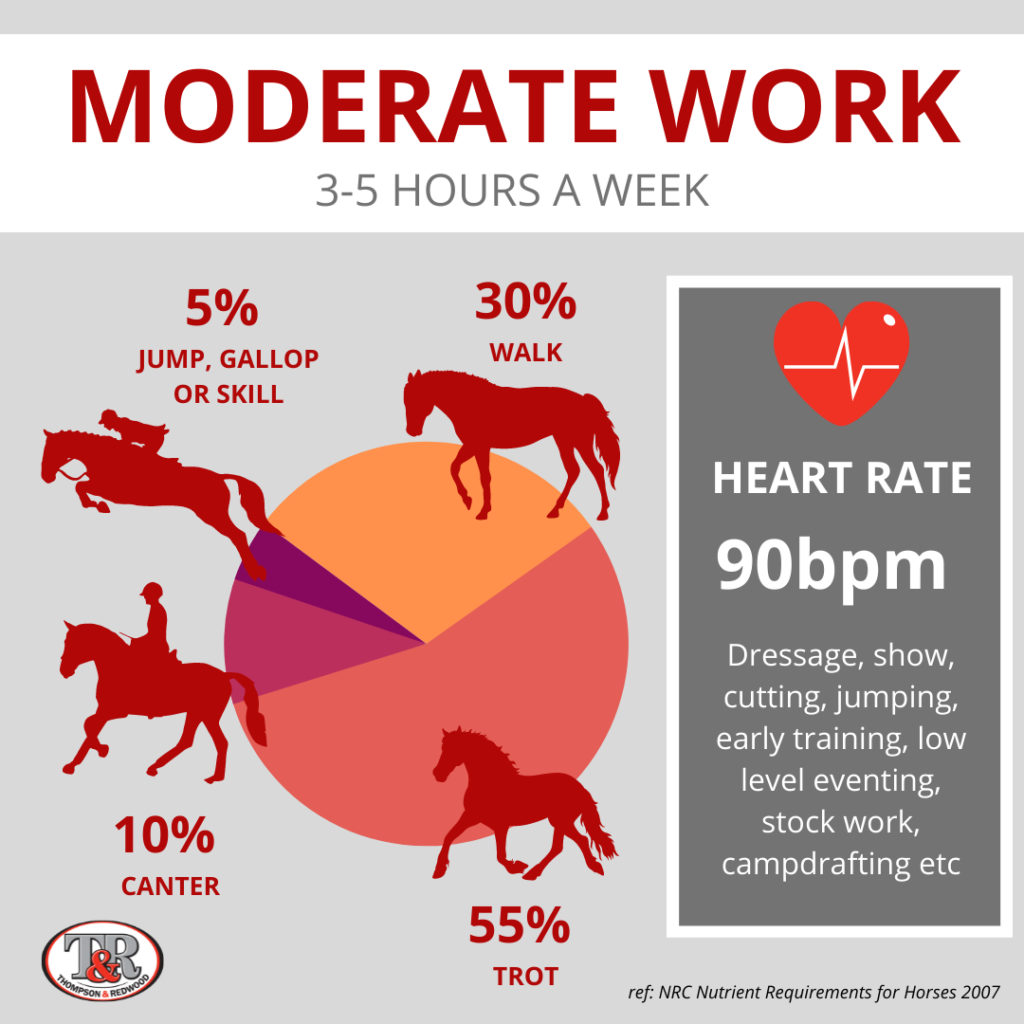Infographic of horse workloads moderate work