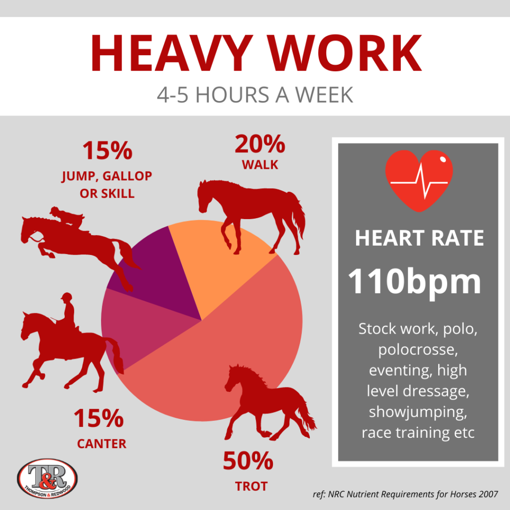 Infographic of horse workloads heavy work