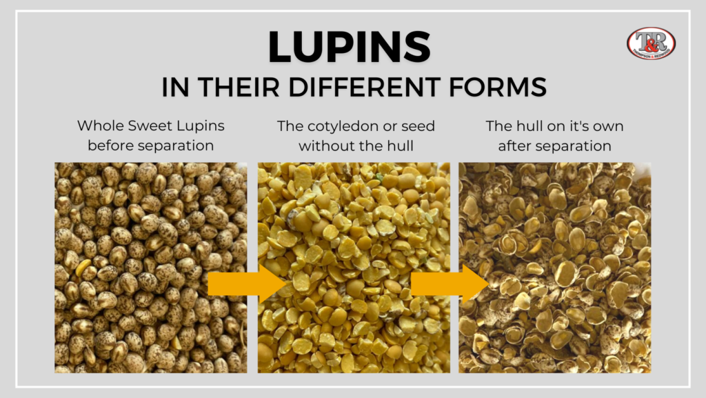 Lupin hulls whole lupins and lupin seed comparison