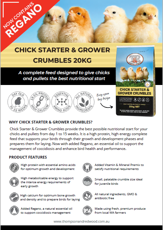 Chick Starter And Grower Crumbles 20kg Thompson And Redwood