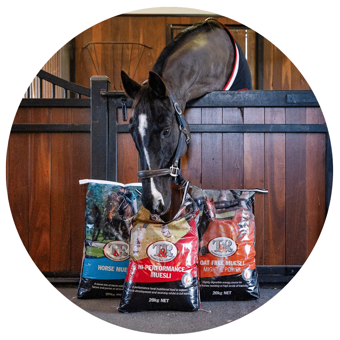 Horse Nutrition Program Thompson and Redwood