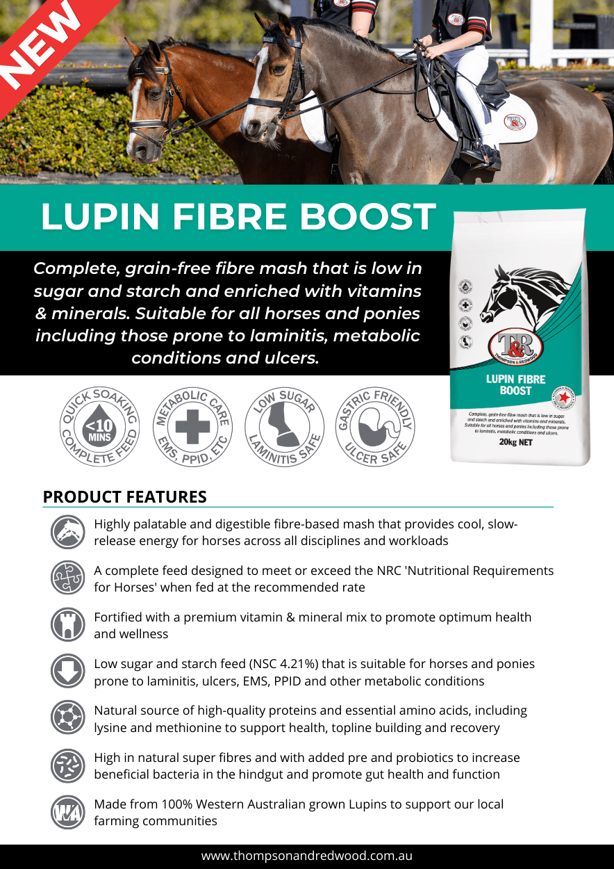 NEW Lupin Fibre Boost | Low Sugar & Starch | Complete Mash